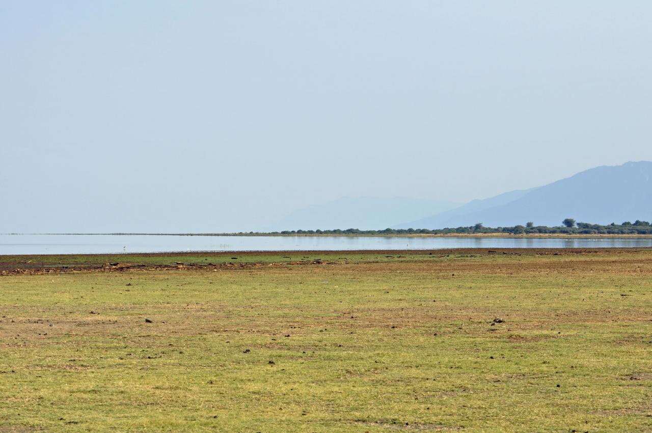 Manyara lake