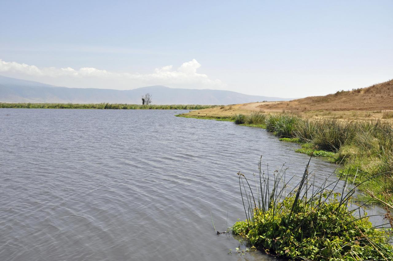 Ngorongoro