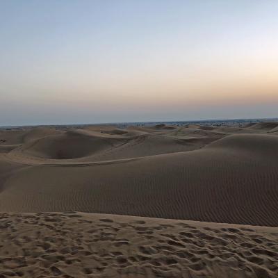 In the desert