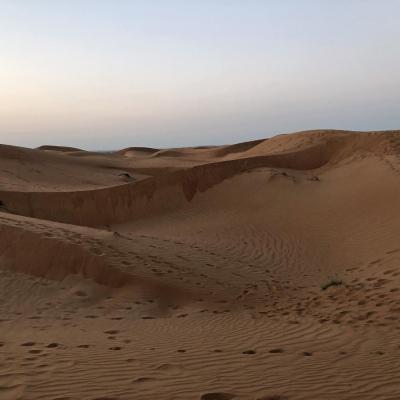 In the desert