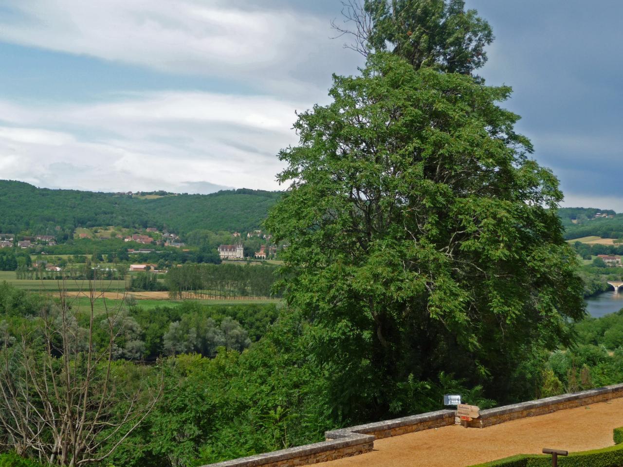 Château des Milandes