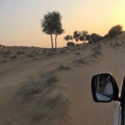 In the desert