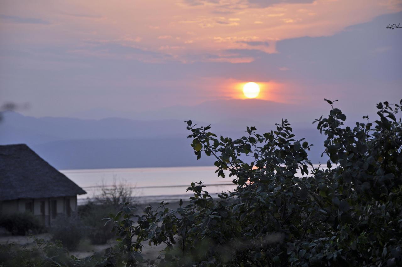 Manyara lake