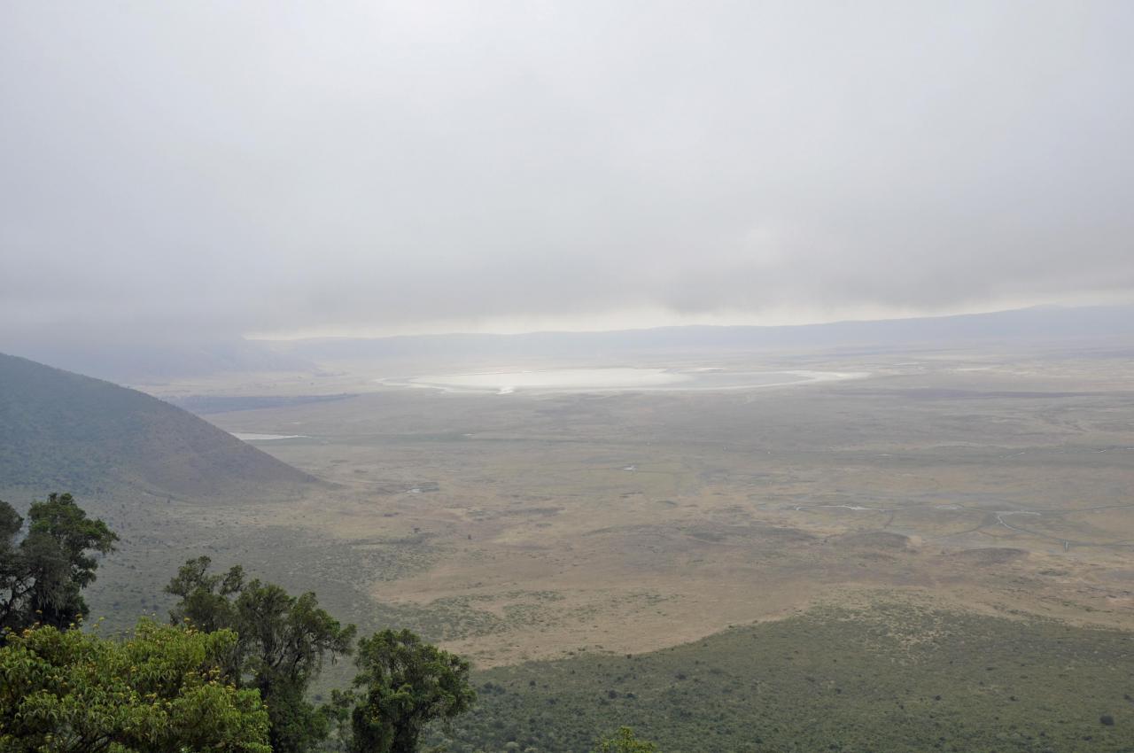 Ngorongoro