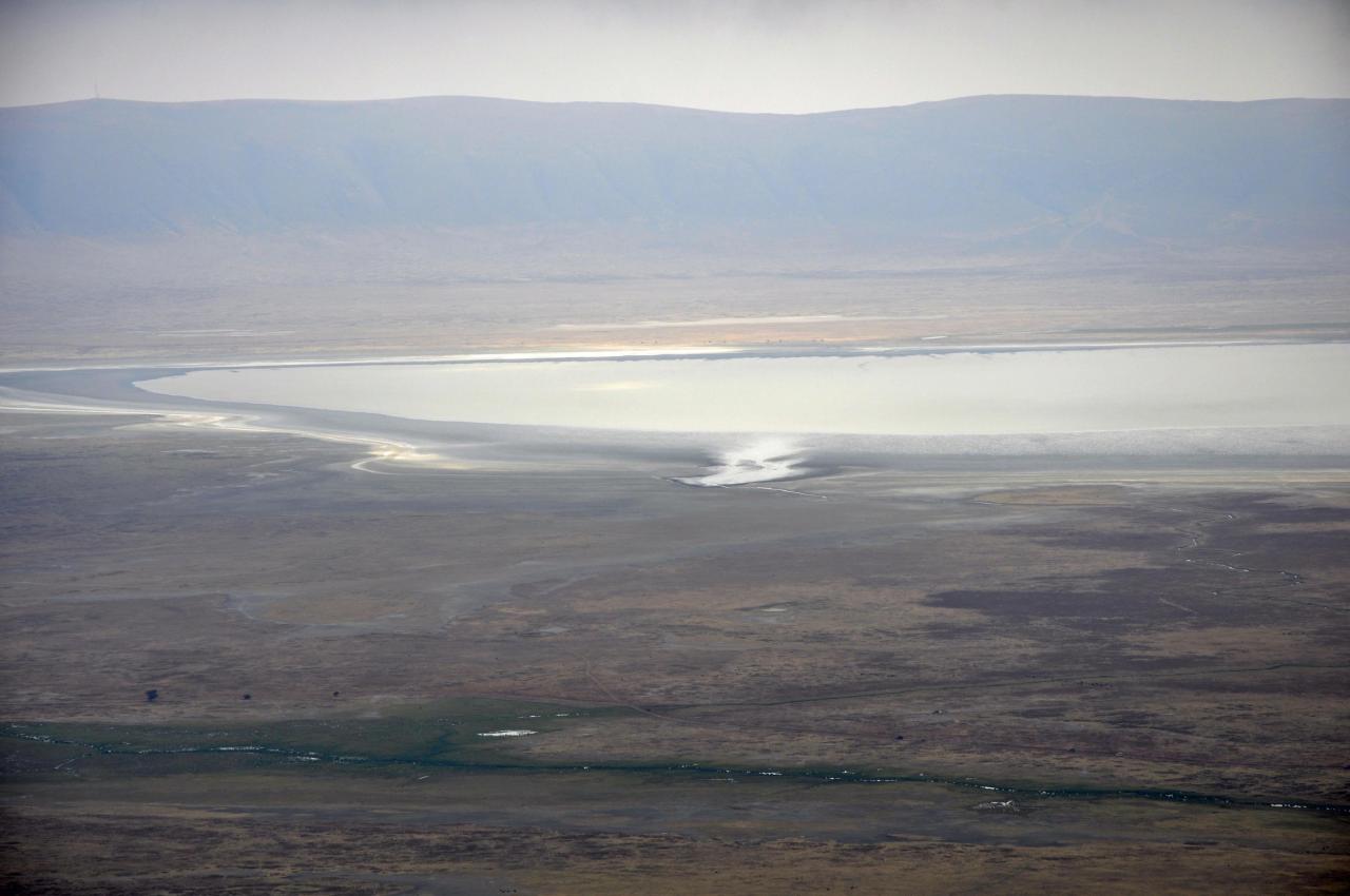 Ngorongoro
