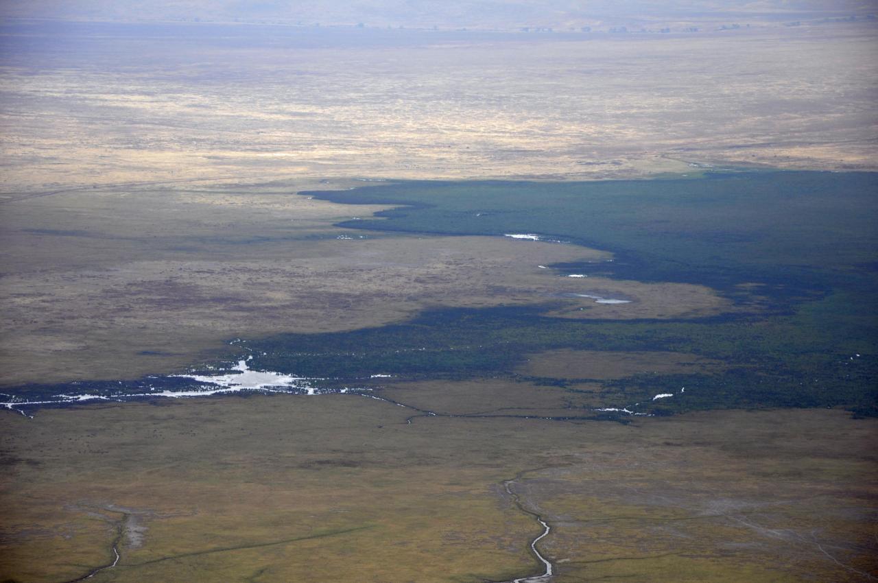 Ngorongoro