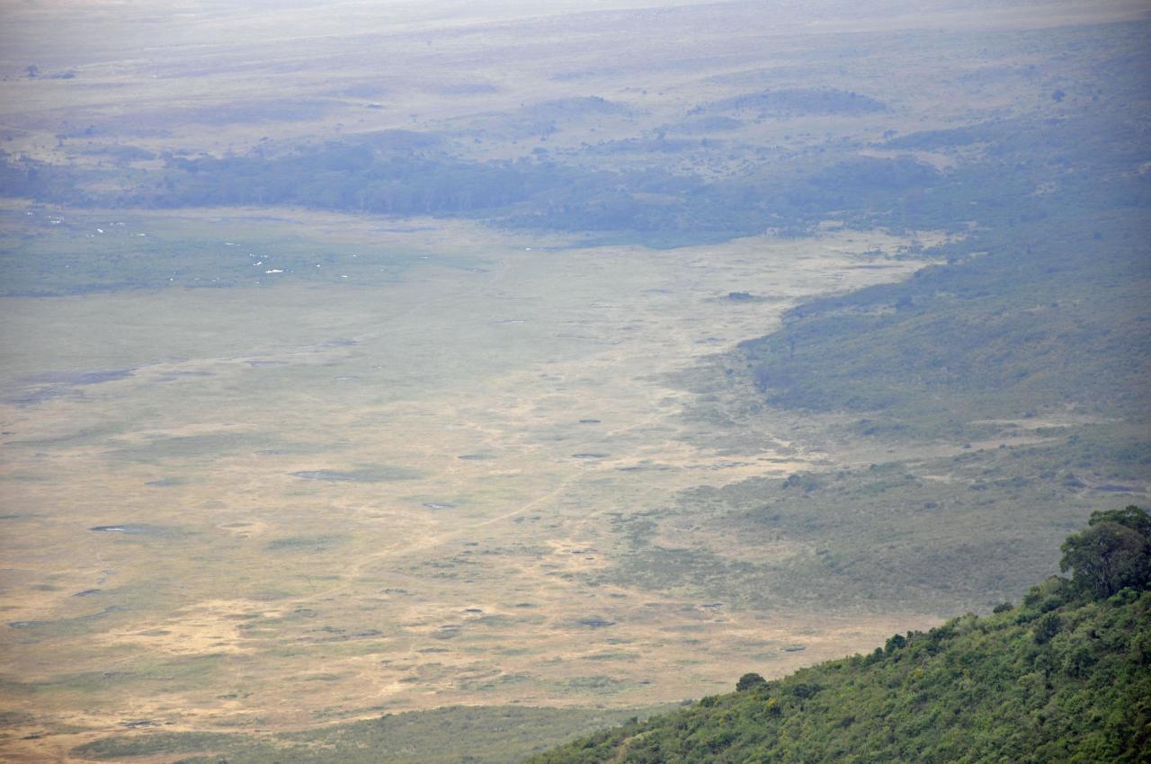 Ngorongoro