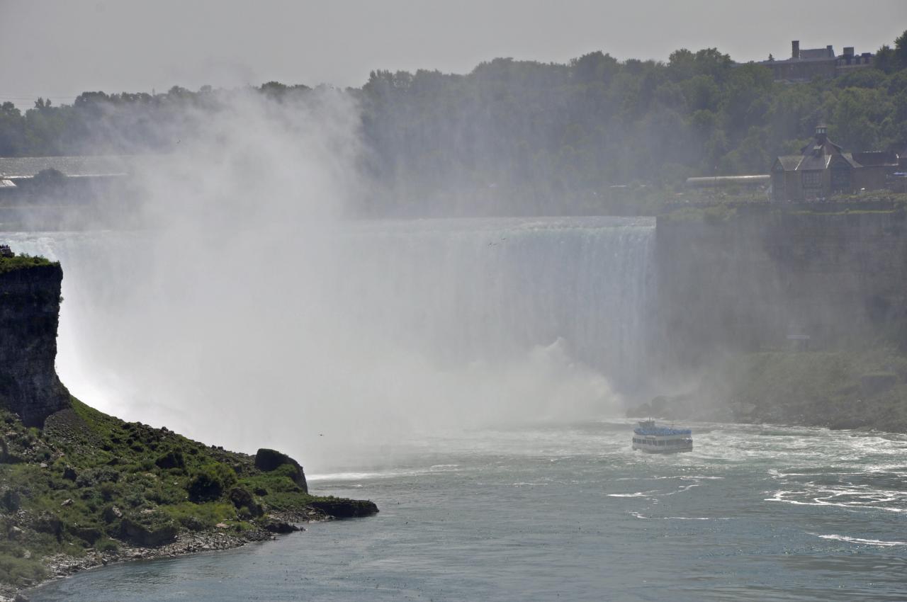 _DSC0196