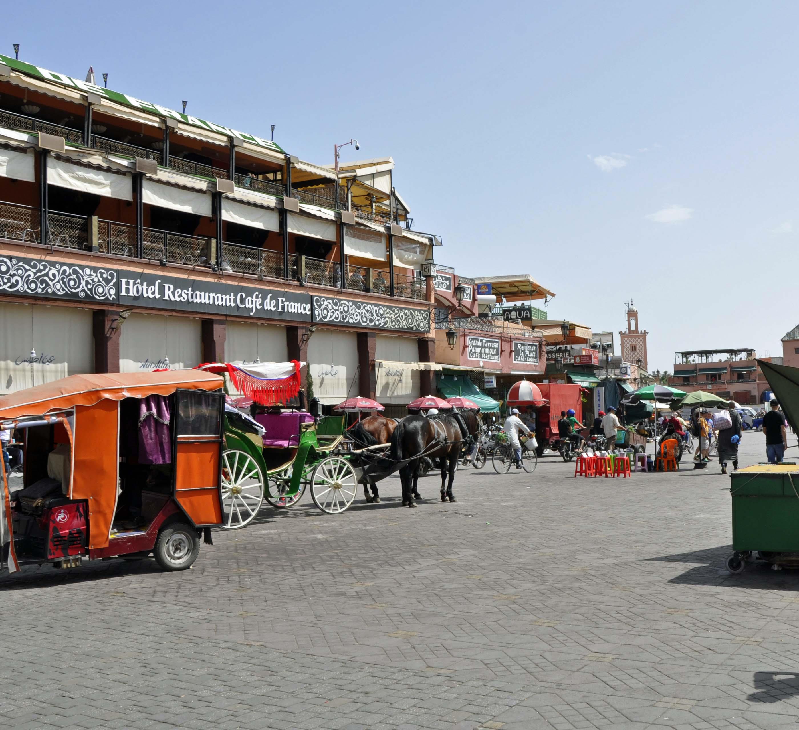 _DSC0293 (Copy)