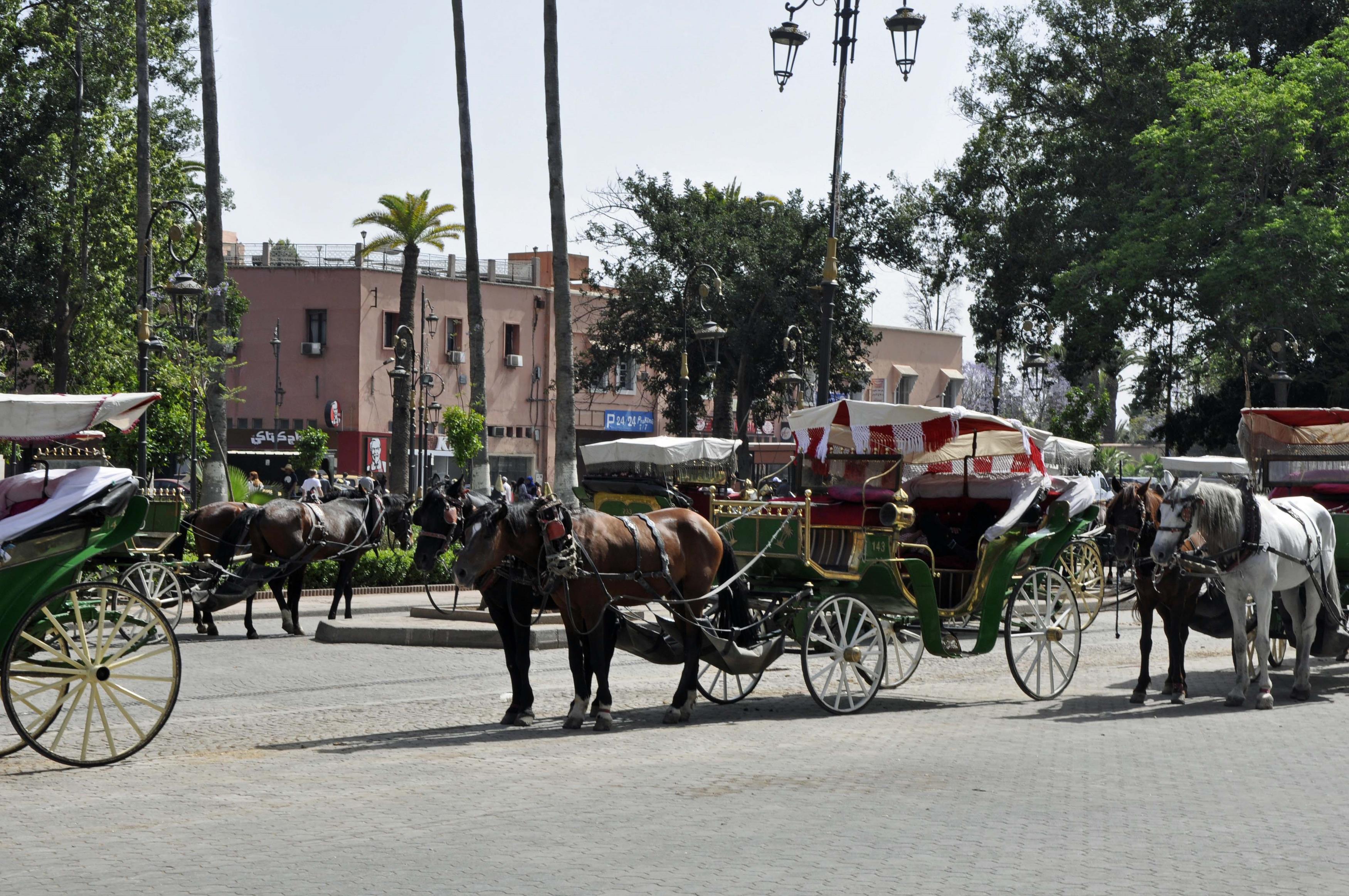 Place Jemaa-El-Fna