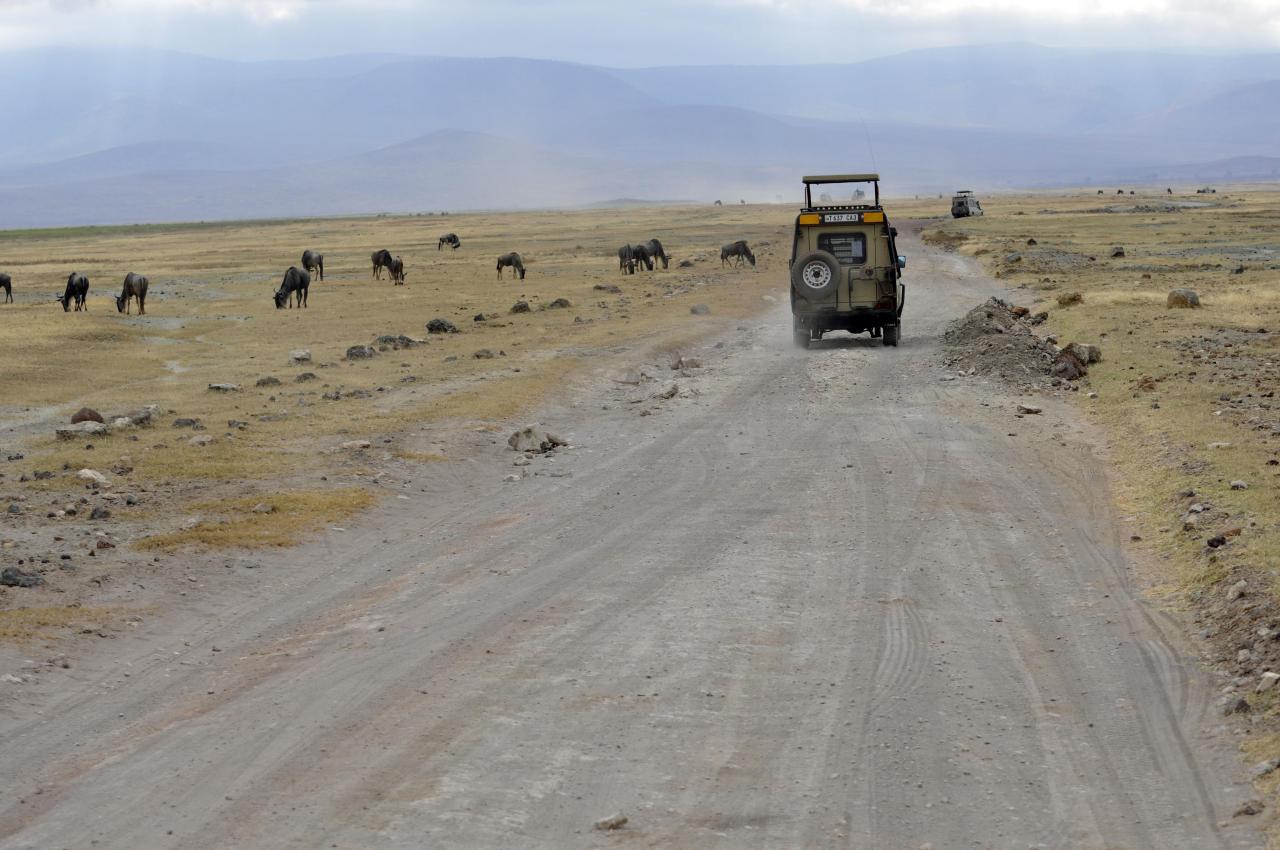 Ngorongoro