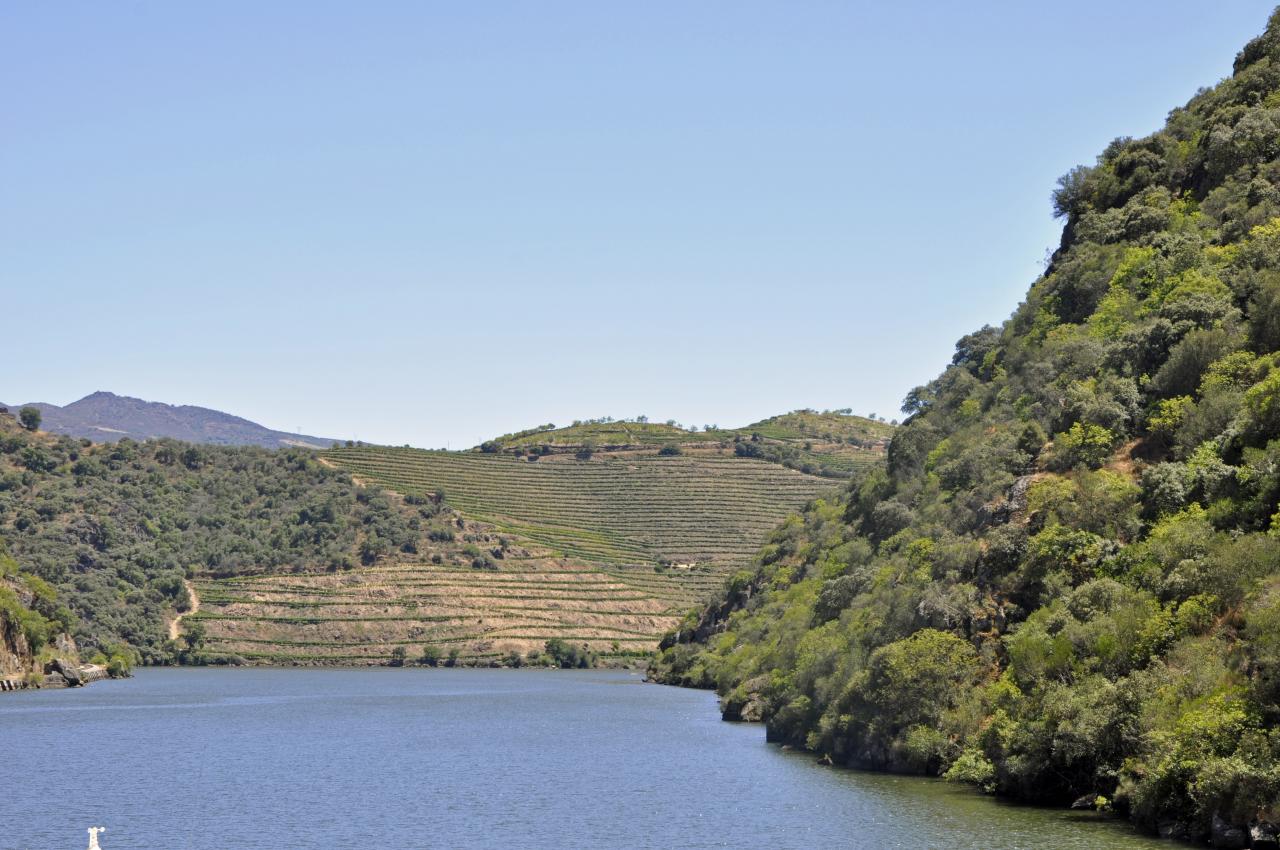 Douro