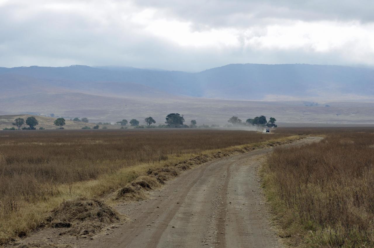 Ngorongoro