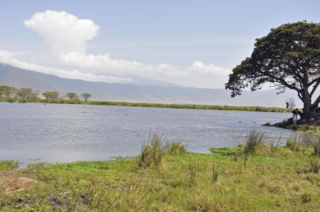 Ngorongoro