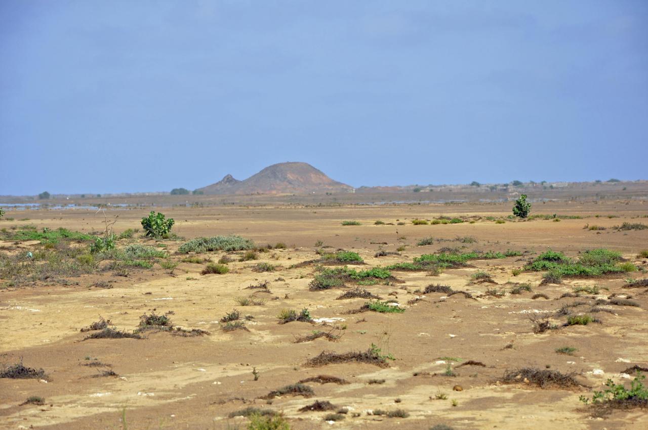 Mirage