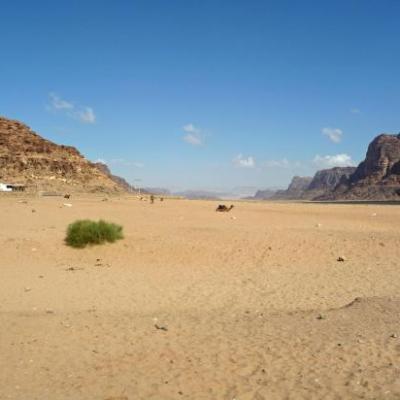 Wadi Rum