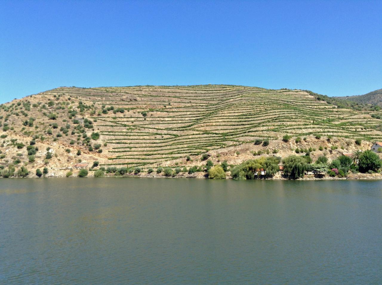 Douro