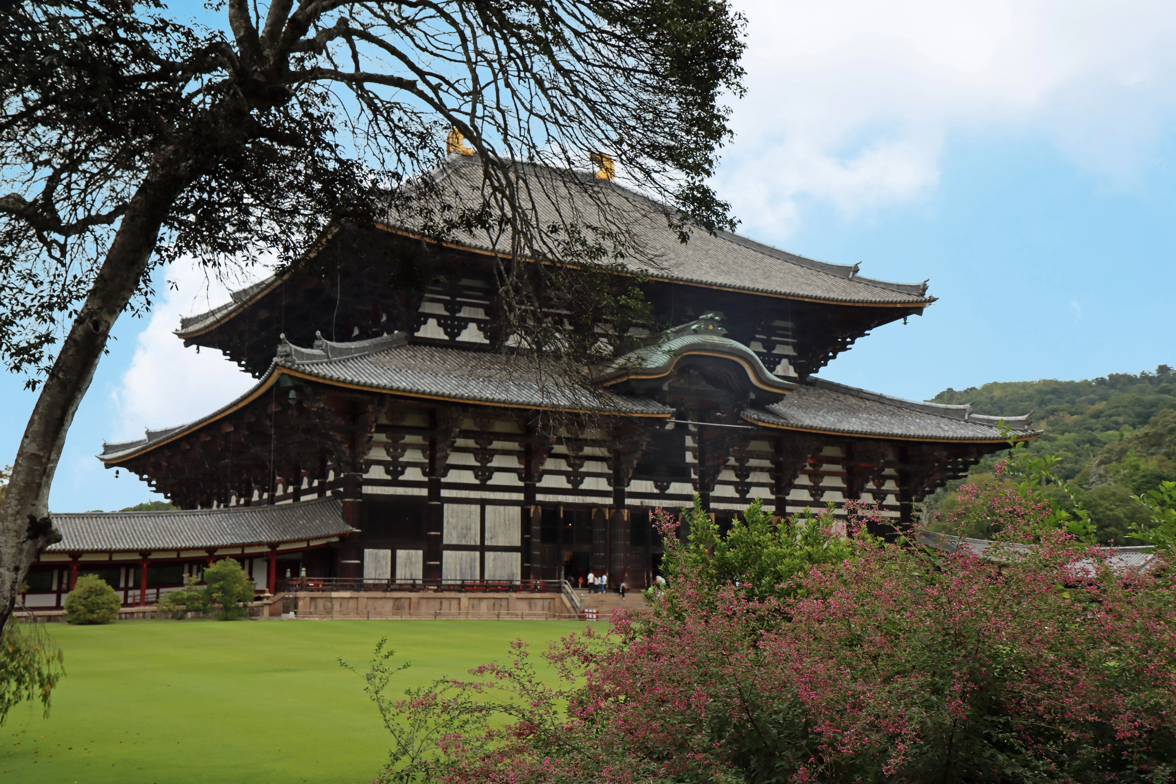 Nara todai ji