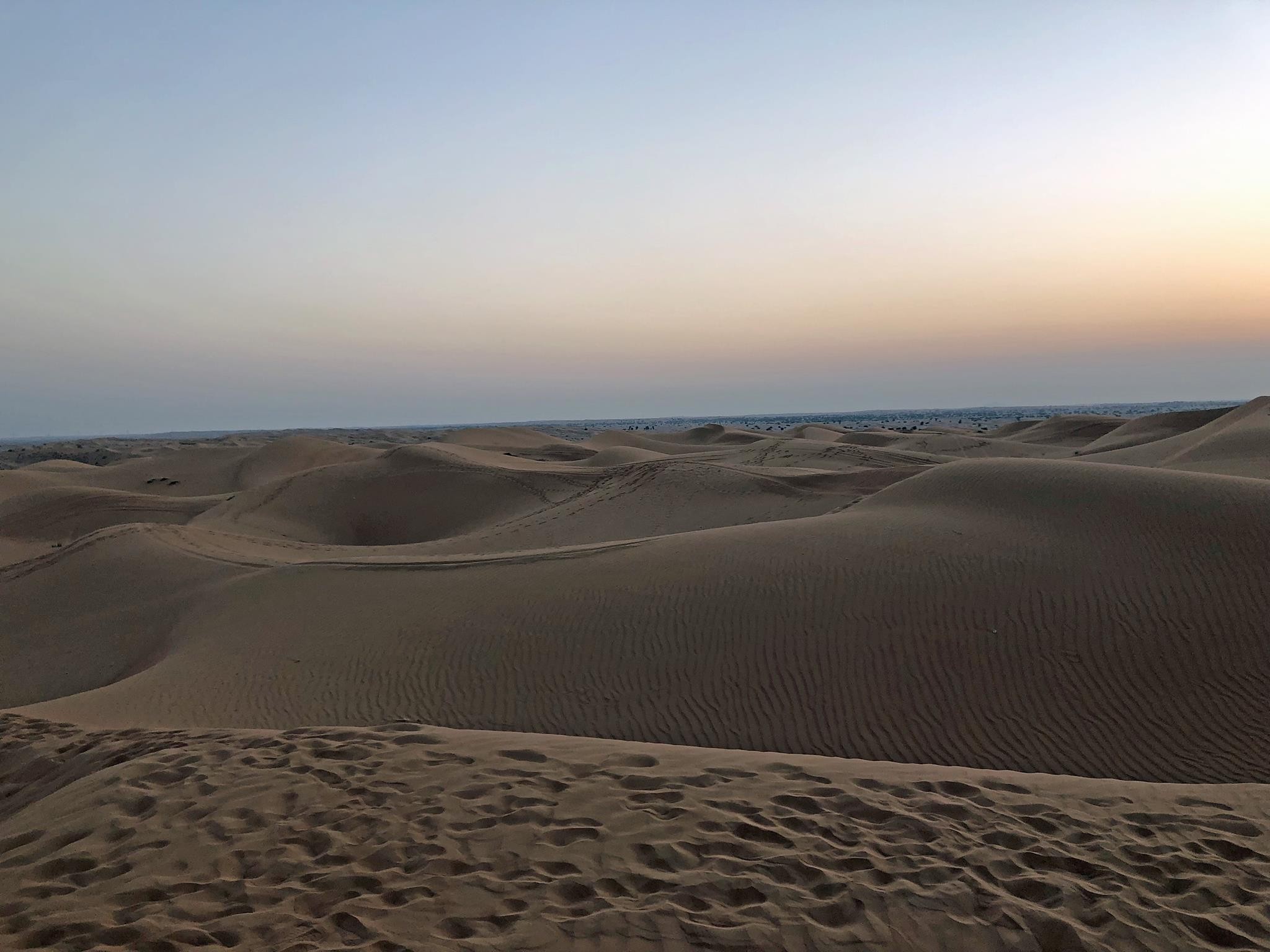In the desert