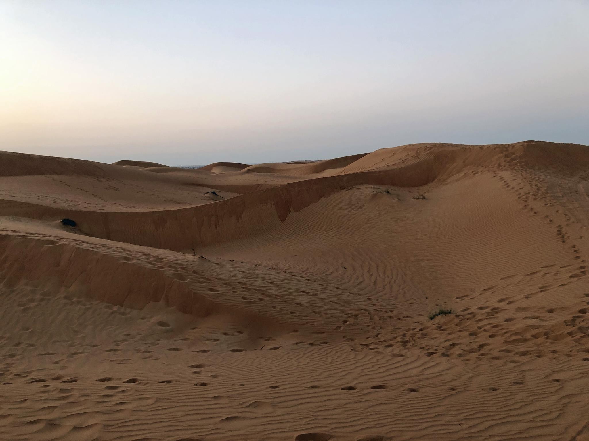 In the desert