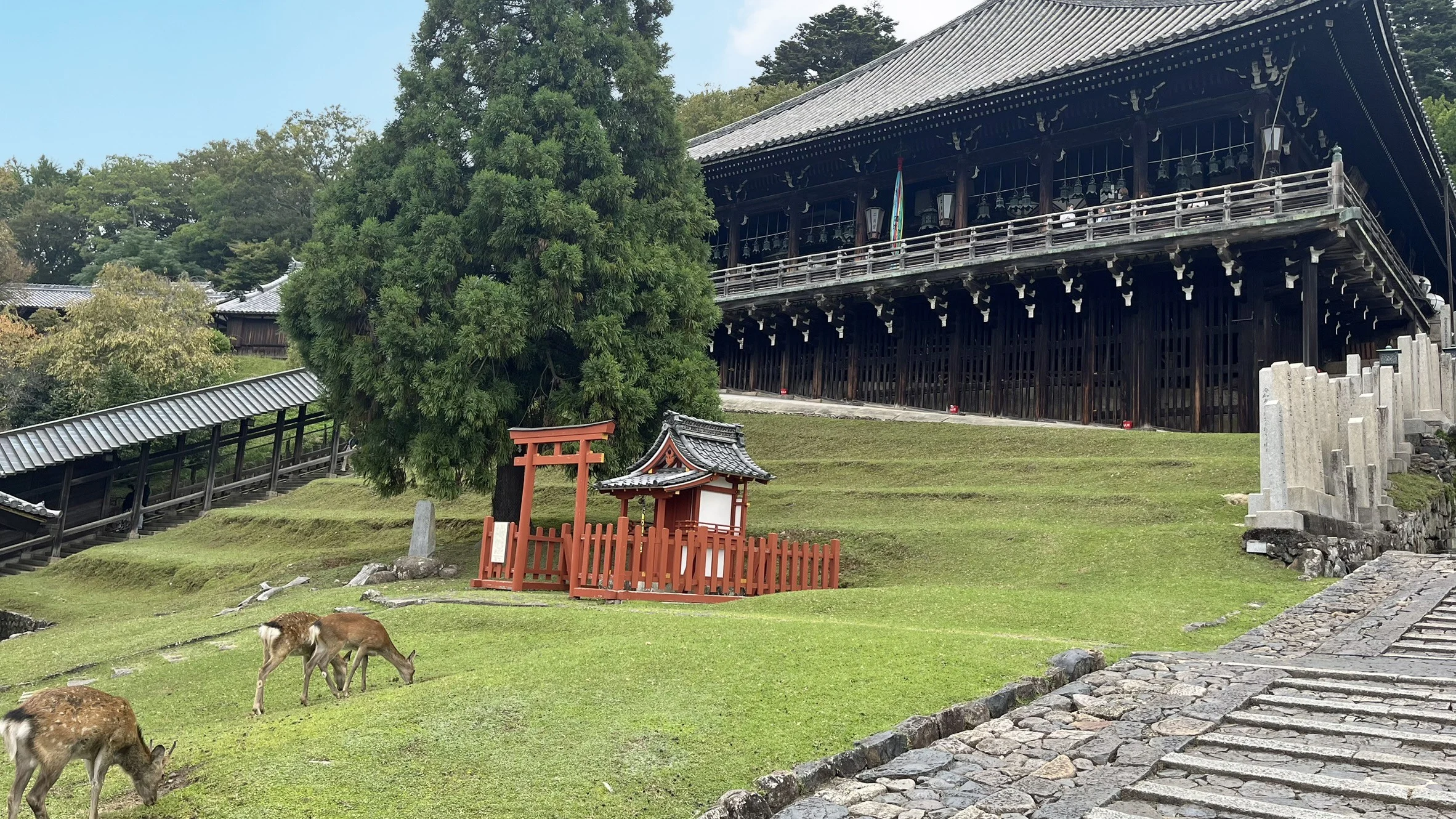 Nara todai ji