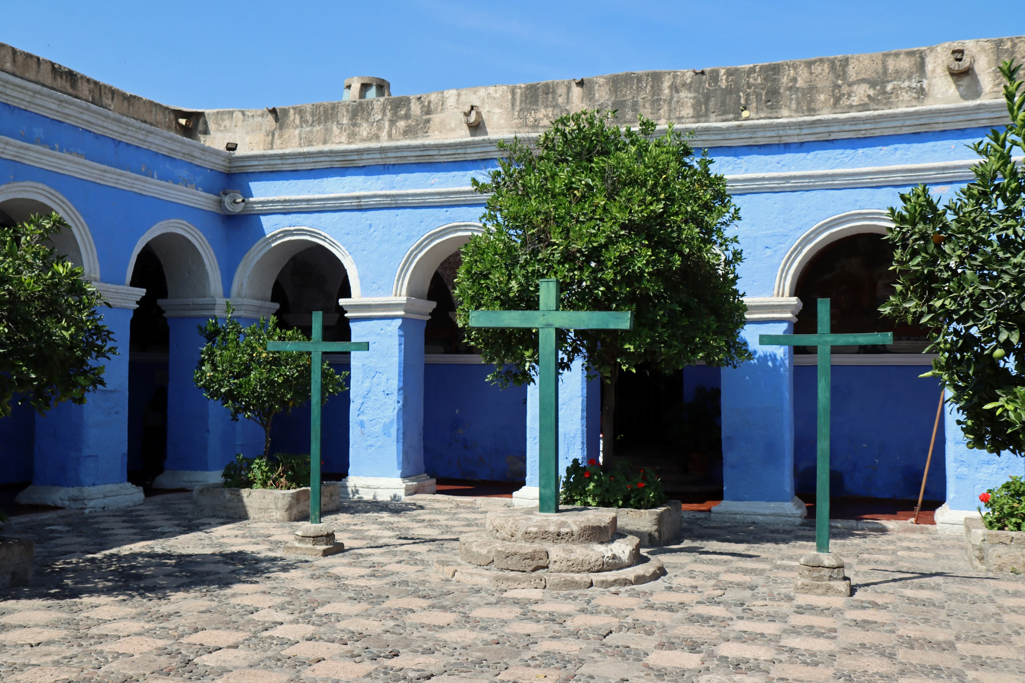 Img 7800