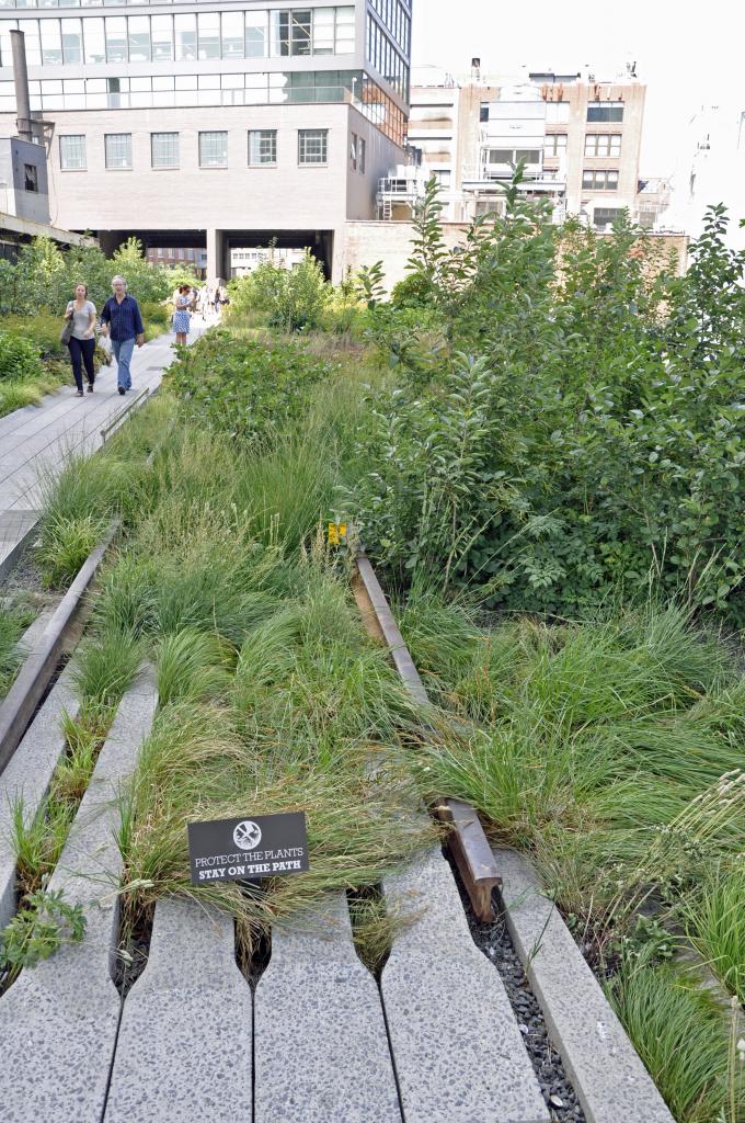 High Line
