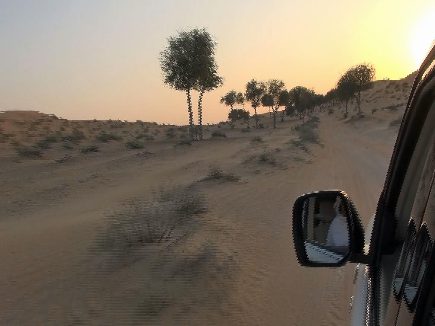 In the desert